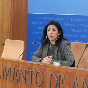 Marta Bosquet: "La Junta rectifica los planes de formación, lo cual supone el primer logro de la comisión de investigación"