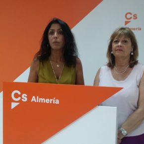 Mabel Hernández: “En este asunto ha imperado mi sentido de la responsabilidad como representante público” Mabel Hernández: “En este asunto ha imperado mi sentido de la responsabilidad como representante público”