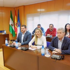 Lourdes García Garzón:  "El equipo de Gobierno no ha querido implementar unos presupuestos participativos"