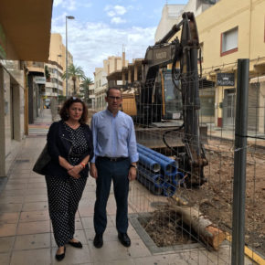 Ciudadanos denuncia la tala indiscriminada de árboles en el centro de El Ejido