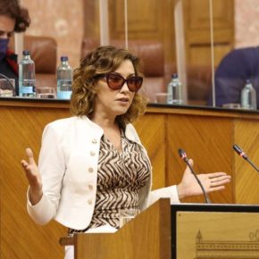 López: “Ciudadanos se vuelca en Empleo y logra que Almería disponga de 4,5 millones de euros para contratar a personas con discapacidad”