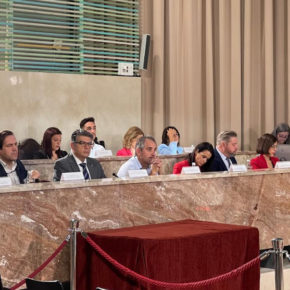 Cs logra el respaldo del Pleno para atender las demandas vecinales del parque del Generalife y rechazar indultos por los ERE